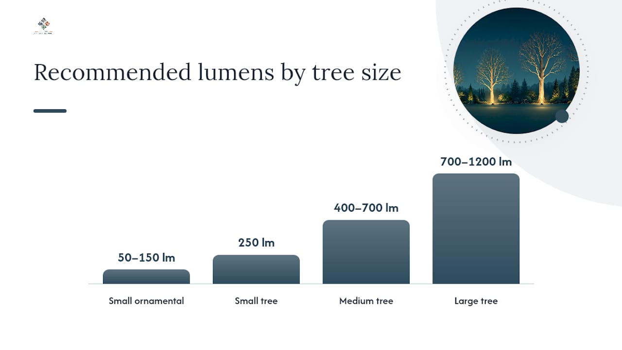 Diagram of lumen ranges and beam angles for different tree sizes