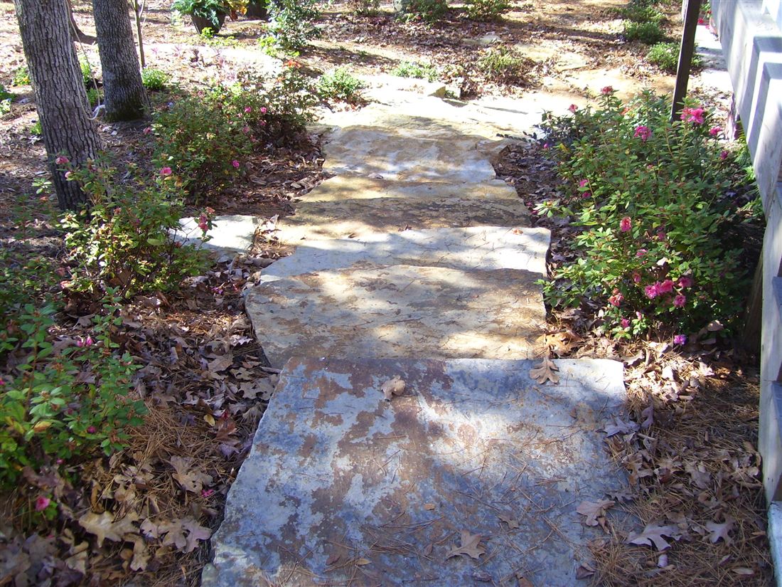 Flagstone path, between the terraces