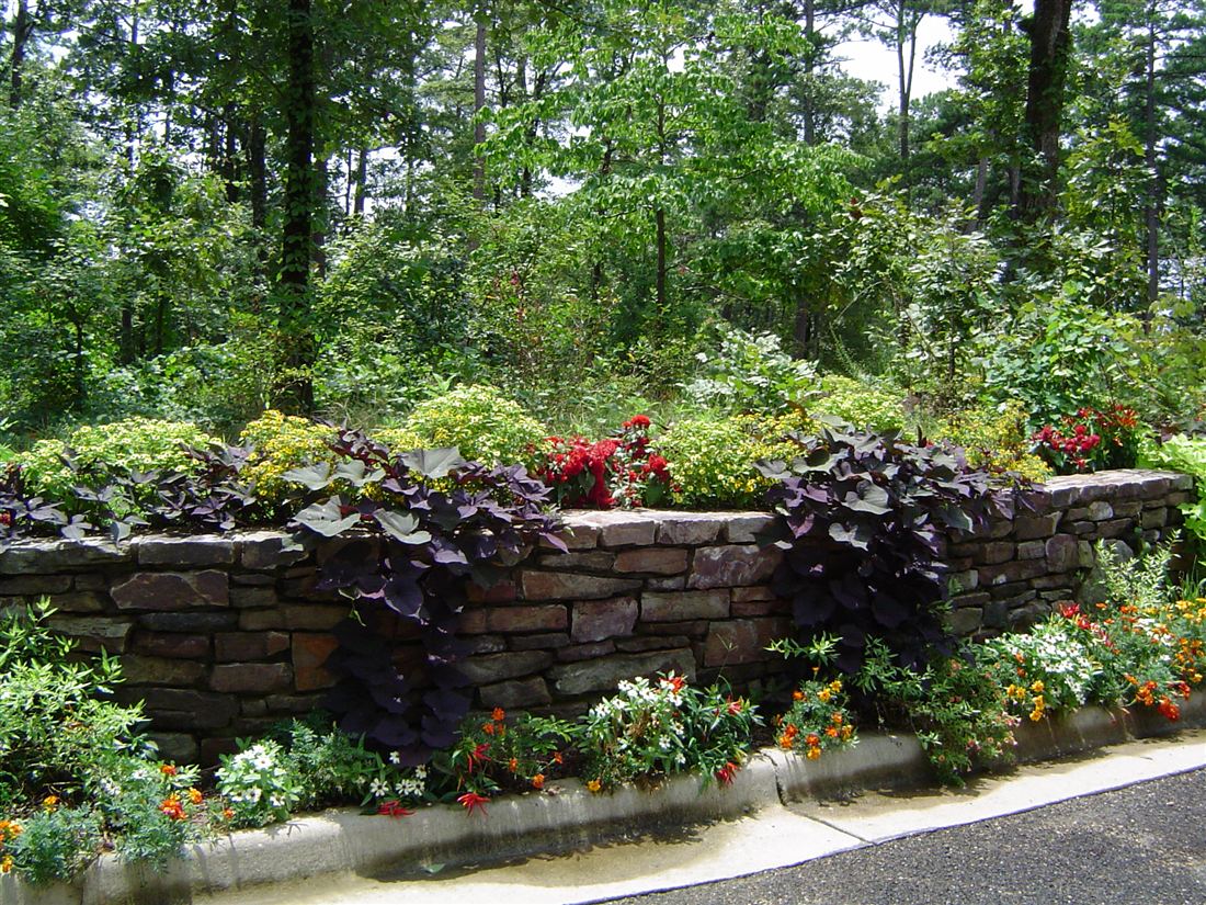 Planted wall, ledge stone with coleus and annuals