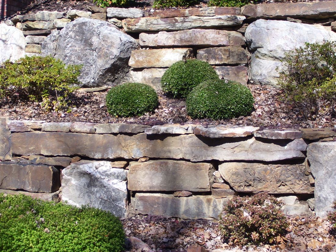 Terrace wall, with boxwoods