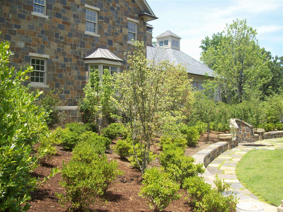 The courtyard, from the house