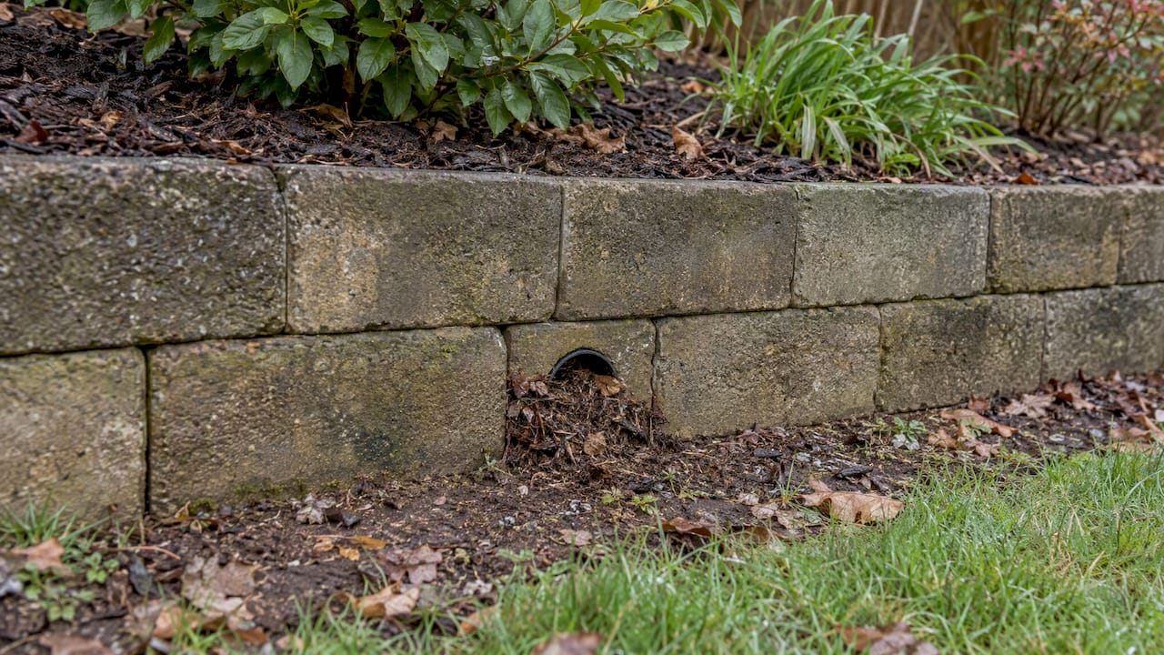 Retaining wall outlet partly covered by mulch