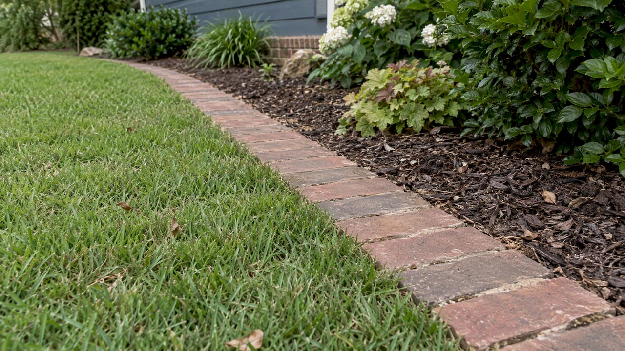 Flush brick pavers separating lawn and planting bed